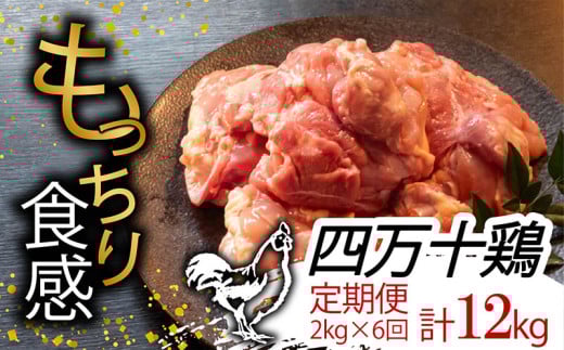 【定期便6回】銘柄鶏 四万十鶏 もも肉 計12kg(2kg×6ヶ月連続お届け) Tコース | 切身 カット 時短 小分け カット済み 鳥肉 とりにく 鶏もも 冷蔵 国産 ブランド 唐揚げ 煮物 鍋 チキン 南蛮 高知