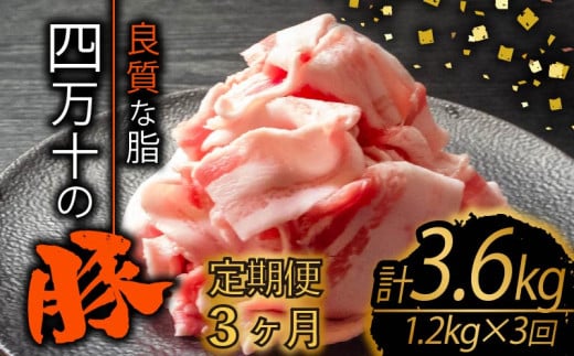 【定期便3回】四万十ポークスライス 計3.6kg(1.2kg×3ヶ月連続お届け) 2Eコース | 豚肉 豚バラ肉 小分け 小間切れ スライス 切り落とし 冷凍 真空パック 簡単調理 細切れ 大容量 肉 高知県 須崎