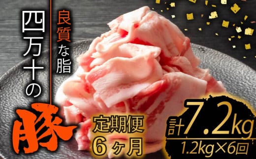 【定期便6回】四万十ポークスライス 計7.2kg(1.2kg×6ヶ月連続お届け) 2Fコース | 豚肉 豚バラ肉 小分け 小間切れ スライス 切り落とし 冷凍 真空パック 簡単調理 細切れ 大容量 肉 高知県 須崎