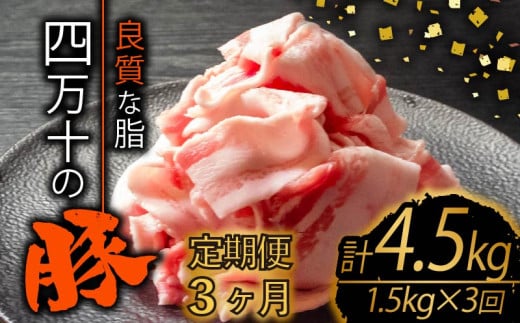 y3zl\|[NXCX v4.5kgi1.5kg×3A͂) 2HR[X | ؓ ؃o  Ԑ؂ XCX ؂藎Ƃ Ⓚ ^pbN ȒP א؂ e  m {