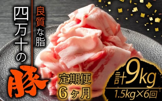 【定期便6回】四万十ポークスライス 計9kg(1.5kg×6ヶ月連続お届け) 2Iコース | 豚肉 豚バラ肉 小分け 小間切れ スライス 切り落とし 冷凍 真空パック 簡単調理 細切れ 大容量 肉 高知県 須崎市
