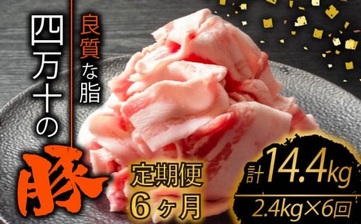 【定期便6回】四万十ポークスライス 計14.4kg(2.4kg×6ヶ月連続お届け) 2Lコース | 豚肉 豚バラ肉 小分け 小間切れ スライス 切り落とし 冷凍 真空パック 簡単調理 細切れ 大容量 肉 高知県 須崎