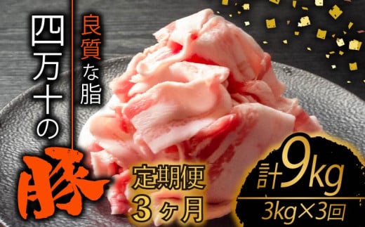 y3zl\|[NXCX v9kgi3kg×3A͂) 2NR[X | ؓ ؃o  Ԑ؂ XCX ؂藎Ƃ Ⓚ ^pbN ȒP א؂ e  m {s T