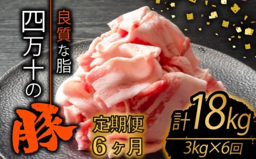 y6zl\|[NXCX v18kgi3kg×6A͂) 2OR[X | ؓ ؃o  Ԑ؂ XCX ؂藎Ƃ Ⓚ ^pbN ȒP א؂ e  m {s