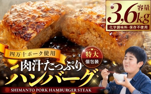 ハンバーグ 四万十ポーク 入り 3.6kg ( 200g × 18個 ) 冷凍 真空 小分け 個包装 肉汁 たっぷり 大容量 大きめ 合挽き 牛肉 豚肉 保存料 不使用 ビーフ ポーク 合いびき肉 挽肉 ジューシー お弁当