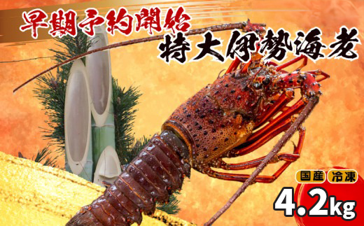 【早期予約】 【12月30日着】 特大 伊勢海老 7匹 4200g 〜 以上 冷凍 ( 特大サイズ 急速冷凍 えび エビ 高級 鮮魚 海鮮 魚介 刺身 焼き物 汁物 ギフト 贈答 贈り物 祝い 歳暮 中元 年末 年始 早期