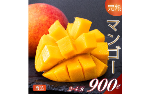 y\zs2026N5{甭t}S[ Gi 2~4(L) 900gȏ ʕ n t[c 썑 n}S[ Ԍ Mtg p ӂ邳Ɣ[Ń}S[ Ö fU[g Â Yn 
