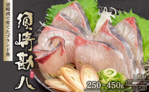 {芨 250g`450g |   Jp` ς uh  N Ⓚ CN hg  Ă  ȒP w  L m {sm{s13000ECYN