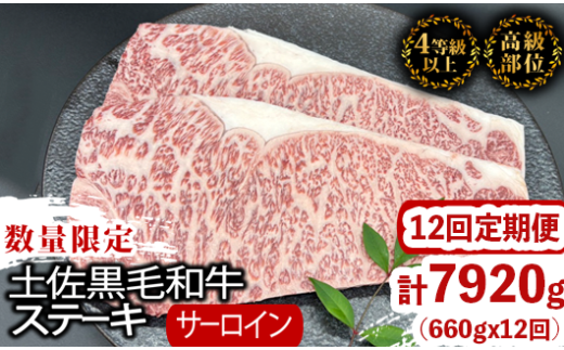 【定期便12回】土佐黒毛和牛サーロインステーキ 計7.92kg(660g×12ヶ月連続お届け) 2Xコース | 特撰 サーロイン肉 最上位等級 A4 A5 最高 ランク 贅沢 厚切り ステーキ用 焼肉用 キャンプ飯 国産