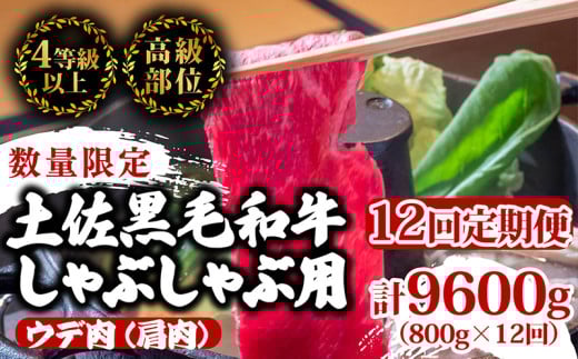 【定期便12回】土佐黒毛和牛ウデ肉しゃぶしゃぶ用 計9.6kg(800g×12ヶ月連続お届け) 3Bコース | 特撰 ウデ肉 肩肉 最上位等級 A4 A5 最高ランク 贅沢 しゃぶしゃぶ 鍋 スライス 焼肉用 小分け 冷