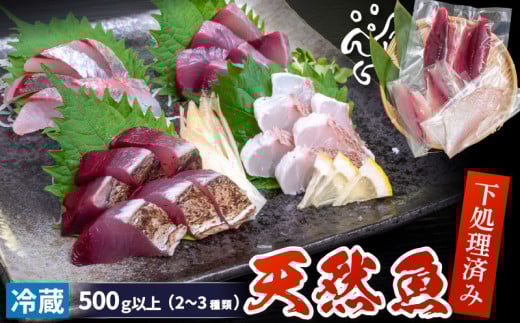 VR N lߍ킹 l꒼ ς 2~3 500gȏ i2026N4oׁj ① hg 킨C g CN  Yn VN  N{bNXm{s10000ECY