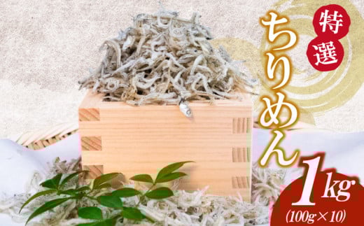 【特選】かちり 1kg(100g×10) 逸品 上干 ちりめん じゃこ しらす 小分け 魚 冷凍 産地直送 ご飯のお供 ふりかけ 漁師 おつまみ 高知県 須崎市 TKM020高知県須崎市18000魚介・海産物その他 魚介・海