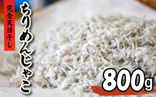 ߂񂶂Ⴑ 800g MT009 | ߂ 炷 VX V m {sm{s14000ECY̑ ECY