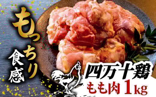 銘柄鶏 四万十鶏 もも肉 1kg ( 500g × 2パック ) | 切身 カットでかんたん時短セット カット済み 鳥肉 とりにく 鶏もも 冷凍 国産 ブランド 唐揚げ 煮物 鍋 チキン 南蛮 高知県 須崎市 TM042高知県