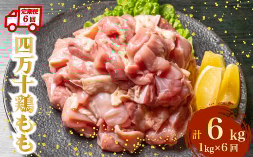 【定期便6回】銘柄鶏 四万十鶏 もも肉 計6kg(1kg×6ヶ月連続お届け) 4Yコース | 切身 カット 時短 小分け カット済み 鳥肉 とりにく 鶏もも 冷凍 国産 ブランド 唐揚げ 煮物 鍋 チキン 南蛮 高知