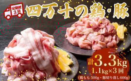 y3Azl\uh {500g ؓ600giv1.1kg×3j3.3kg 3 5PR[Xb l\|[NXCX l\|[N ؃o  Ԑ؂ XCX ؂藎Ƃ Ⓚ ^pbN
