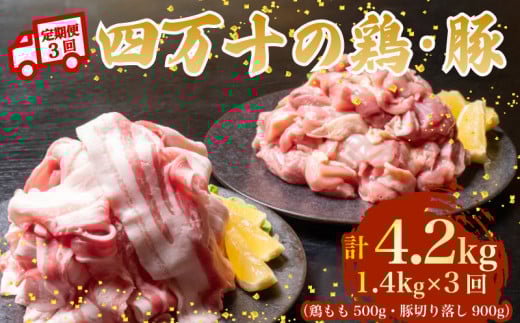 【3ヶ月連続】四万十ブランド 鶏肉500g 豚肉900g(計1.4kg×3回)4.2kg 3回定期便 5Sコース| 四万十ポークスライス 四万十ポーク 豚バラ肉 小分け 小間切れ スライス 切り落とし 冷凍 真空パック