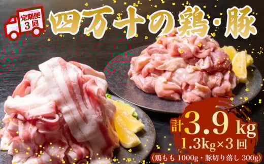 y3Azl\uh {1kg ؓ300giv1.3kg×3)3.9kg 3 5YR[Xb l\|[NXCX l\|[N ؃o  Ԑ؂ XCX ؂藎Ƃ Ⓚ ^pbN 