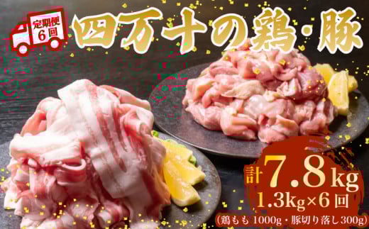 y6Azl\uh {1kg ؓ300giv1.3kg×6) 7.8kg 6 5ZR[Xb l\|[NXCX l\|[N ؃o  Ԑ؂ XCX ؂藎Ƃ Ⓚ ^pbN