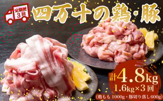 y3Azl\uh {1kg ؓ600giv1.6kg×3) 4.8kg 3 6BR[Xb l\|[NXCX l\|[N ؃o  Ԑ؂ XCX ؂藎Ƃ Ⓚ ^pbN