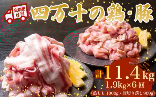 【6ヶ月連続】四万十ブランド 鶏肉1kg 豚肉900g(計1.9kg×6回) 11.4kg 6回定期便 6Fコース| 四万十ポークスライス 四万十ポーク 豚バラ肉 小分け 小間切れ スライス 切り落とし 冷凍 真空パック