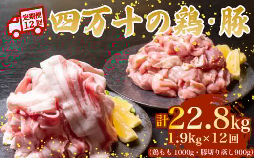 【12ヶ月連続】四万十ブランド 鶏肉1kg 豚肉900g(計1.9kg×12回) 22.8kg 12回定期便 6Gコース| 四万十ポークスライス 四万十ポーク 豚バラ肉 小分け 小間切れ スライス 切り落とし 冷凍 真空パッ