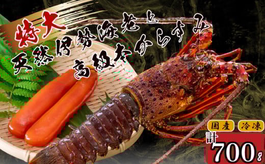 ɐCV 1C  {炷 100g  ( TCY }Ⓚ  Gr 炷 JX~   N CN   hg Ă ` Zbg Mtg  蕨 j Ε  ) IKY06