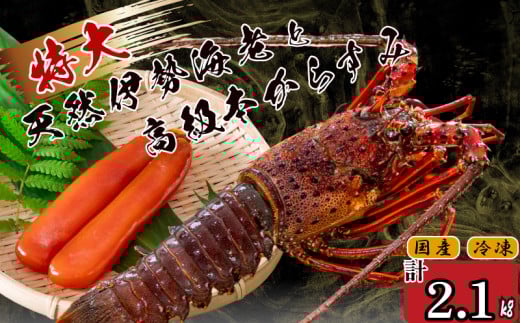 ɐCV 3C  {炷 300g  ( TCY }Ⓚ  Gr 炷 JX~   N CN   hg Ă ` Zbg Mtg  蕨 j Ε  ) IKY06