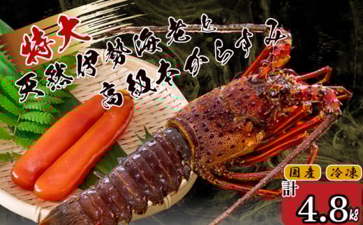 ɐCV 7C  {炷 600g  ( TCY }Ⓚ  Gr 炷 JX~   N CN   hg Ă ` Zbg Mtg  蕨 j Ε  ) IKY06