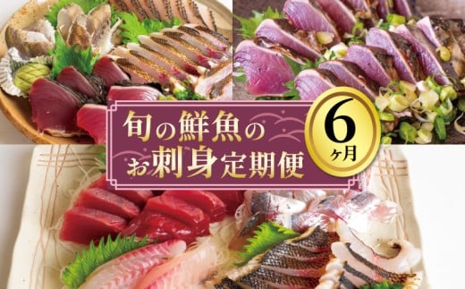 お刺身 定期便 6回 カツオ 鰹 フィーレ 炙り 刺身 刺し身 丼 寿司 海鮮 魚介 鮮魚 旬 ご飯に合う 米に合う コメに合う 冷蔵 高知県 須崎市 須崎魚商人組合 GK1000高知県須崎市76000魚介・海産物