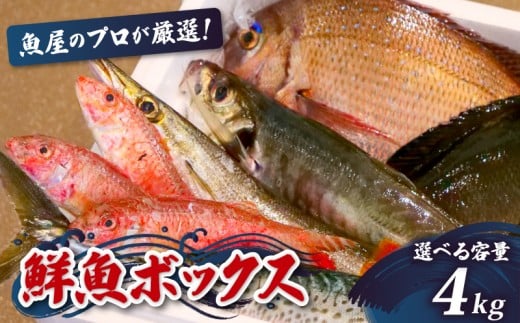 鮮魚BOX 4kg 刺身 刺し身 旬 海鮮 鮮魚 魚介 焼き 煮付け 炙り カルパッチョ 寿司 丼 おつまみ おかず ご飯に合う 米に合う コメに合う 家庭用 父の日 高級 冷蔵 高知県 須崎市 土佐 須崎魚商人