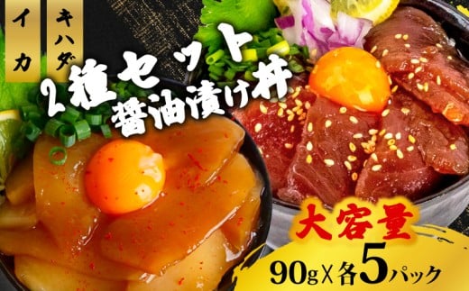 2種 醤油 漬け丼 90g×各5パック キハダマグロ イカ 切り身 特製 漬け丼 丼 海鮮丼 刺し身 刺身 切身 手軽 便利 ご飯のお供 簡単調理 海鮮 魚介 惣菜 冷凍 小分け 大容量 ふるさと納税 人気 ふる