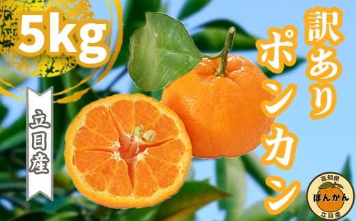 y\Jnz 2026N1{菇 |J 󂠂 5kg TCY ƒp  uh ʕ t[c ~ k 2026N n ݂  fU[g m {s TMS001m{
