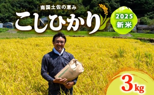 8月下旬から 発送 2025年 コシヒカリ 3Kg 新米 産地直送 高知県産 白米 精米 こしひかり 米 常温 配送 ブランド米 国産 米 早場米 人気 天然 恵み 心 高知県 須崎市 SI001高知県須崎市10000米・パン