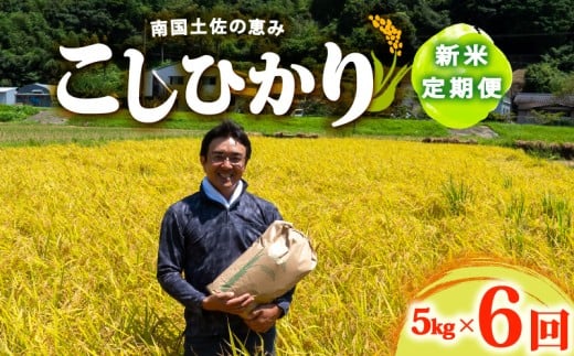R7 新米 コシヒカリ 5kg 定期便 6ヶ月 8月下旬から発送 新米 産地直送 高知県産 白米 精米 こしひかり 米 常温 配送 ブランド米 国産 米 早場米 人気 天然 恵み 心 高知県 須崎市 SI005高知県須崎