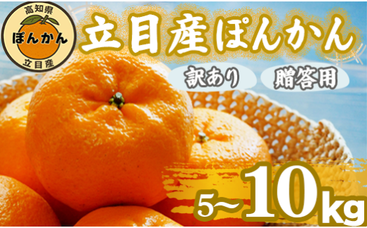 【 早期予約受付開始 】 立目産 ポンカン 10 kg 訳あり 2026年1月 下旬より順次発送 2026年 収穫分 家庭用 みかん 高知 須崎 KHN003高知県須崎市16000果物・フルーツみかん・柑橘類