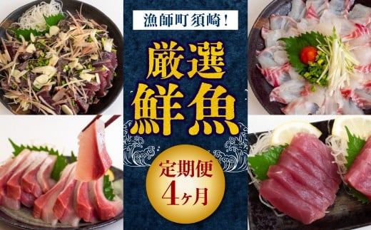 4ヶ月 定期便 刺身 鮮魚 4回 定期便 新鮮 国産 ( ブリ かつお たたき キハダ マグロ 真鯛 )タイ 鰹 たい セット 冷凍 冷蔵 しゃぶ 鯛 お鍋 海鮮 年末 年始 大晦日 正月 高知県 須崎市 高知 YI100