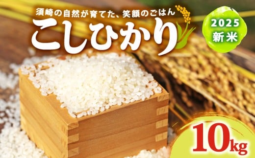 2025 新米 コシヒカリ 10kg 産地直送 新米 8月下旬 から 順次配送 高知県産 白米 精米 こしひかり 米 常温 配送 ブランド米 国産 米 人気 匠 高知県 須崎 SDM003高知県須崎市27000米・パン白米