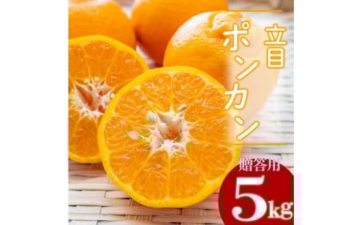 【2026年2月より発送】高知県産 立目ぽんかん 5kg 贈答用 優品 みかん 須崎市 KJS002_3x高知県須崎市13000果物・フルーツみかん・柑橘類