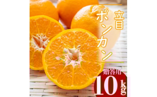 【2026年2月より発送】高知県産 立目 ぽんかん みかん 柑橘 特上品 10kg 優品 国産 ブランド 高知 ビタミン 生産者 産地 KJS016_x高知県須崎市23000果物・フルーツみかん・柑橘類
