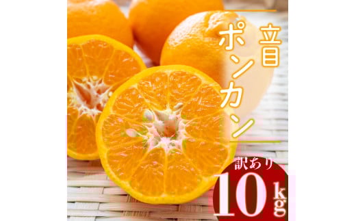【2026年2月より発送】高知県産 立目 ぽんかん みかん 柑橘  訳あり 10kg 特上品 贈答用大小混合品 KJS017-x高知県須崎市16000果物・フルーツみかん・柑橘類