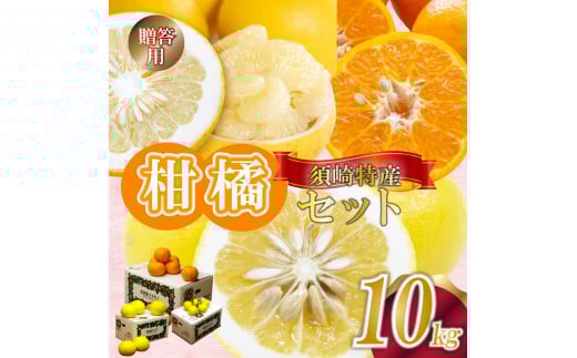 定期便 3回 限定20セット ポンカン 土佐文旦 小夏 各 10kg 贈答用 須崎特産 みかん ミカン 立目ぽんかん 土佐文旦 ぶんたん 柑橘 贈り物 プレゼント 計 30kg 箱セット 季節限定 数量限定 時期限