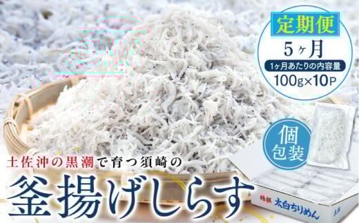 定期便 5ヶ月  鮮度抜群 海の玄米 子供用 釜揚げ しらす 1kg 個包装 計 5kg 新鮮 冷凍 シラス 熨斗 贈答 5回 高知県産 しらす ちりめん じゃこ しらす丼 しらす 定期便 MS1000高知県須崎市55000魚介