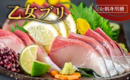  u 800 ~ 1000 g hg uh VN   Ԃ u  ؂g N Nn m {s m  VN N i L jKS0321-x1228m{s19000ZbgE؁EHHiJ[