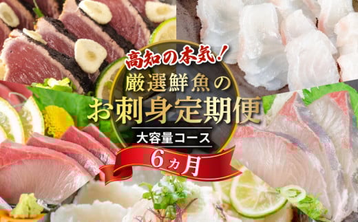 刺身 定期便 6ヶ月 小島水産 がお届けする! 美味しい お刺身 大容量 コース ( 鮮魚 下処理済 )  産地直送 半年 新鮮 鮮魚 ( 6回 お楽しみ 定期便 お刺身 かつお タタキ カツオ 鰹 鯛 たい 真鯛