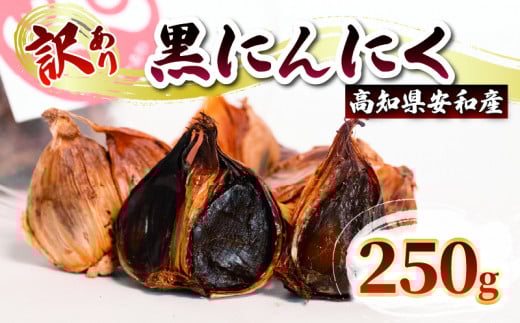 【早期予約】 訳あり 黒にんにく250g  あわ地区 野菜 高知 須崎高知県須崎市7000鍋セット・総菜・加工食品その他 鍋セット・総菜・加工食品
