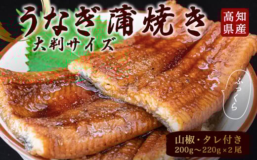 うなぎ 鰻 蒲焼 約 200g × 2尾 高知県 産 蒲焼き タレ 付き 魚 魚介類 海鮮 国産 国産ウナギ 小分け 便利 土用の丑の日 丑の日 セット 高知 須崎市 ウナギ ふるさと納税 人気 ふるさと納税うな