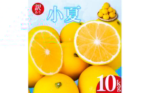 【2026年4月より発送】 訳あり 小夏 家庭用 10kg 高知県産 早期予約 柑橘 フルーツ 果物 みかん ミカン 蜜柑 こなつ ニューサマーオレンジ  日向夏 産地直送 大小混合品 高知県 須崎 KJS008高知県