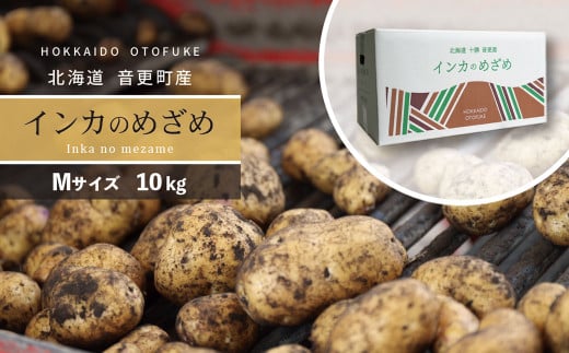 mstnƂӂYႪuCĴ߂߁v10kgiMTCYjyA36z2025N11{菇\kCX12000؁ÊႪEC