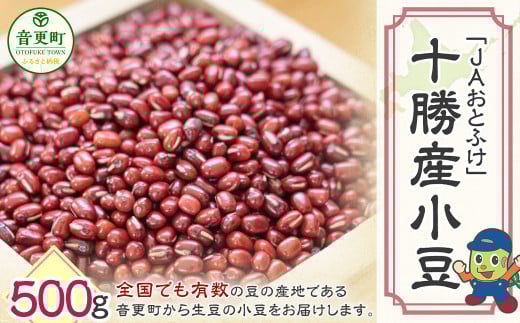 【令和7年産】小豆500g「JAおとふけ」【B103】北海道音更町4000野菜・きのこ豆類